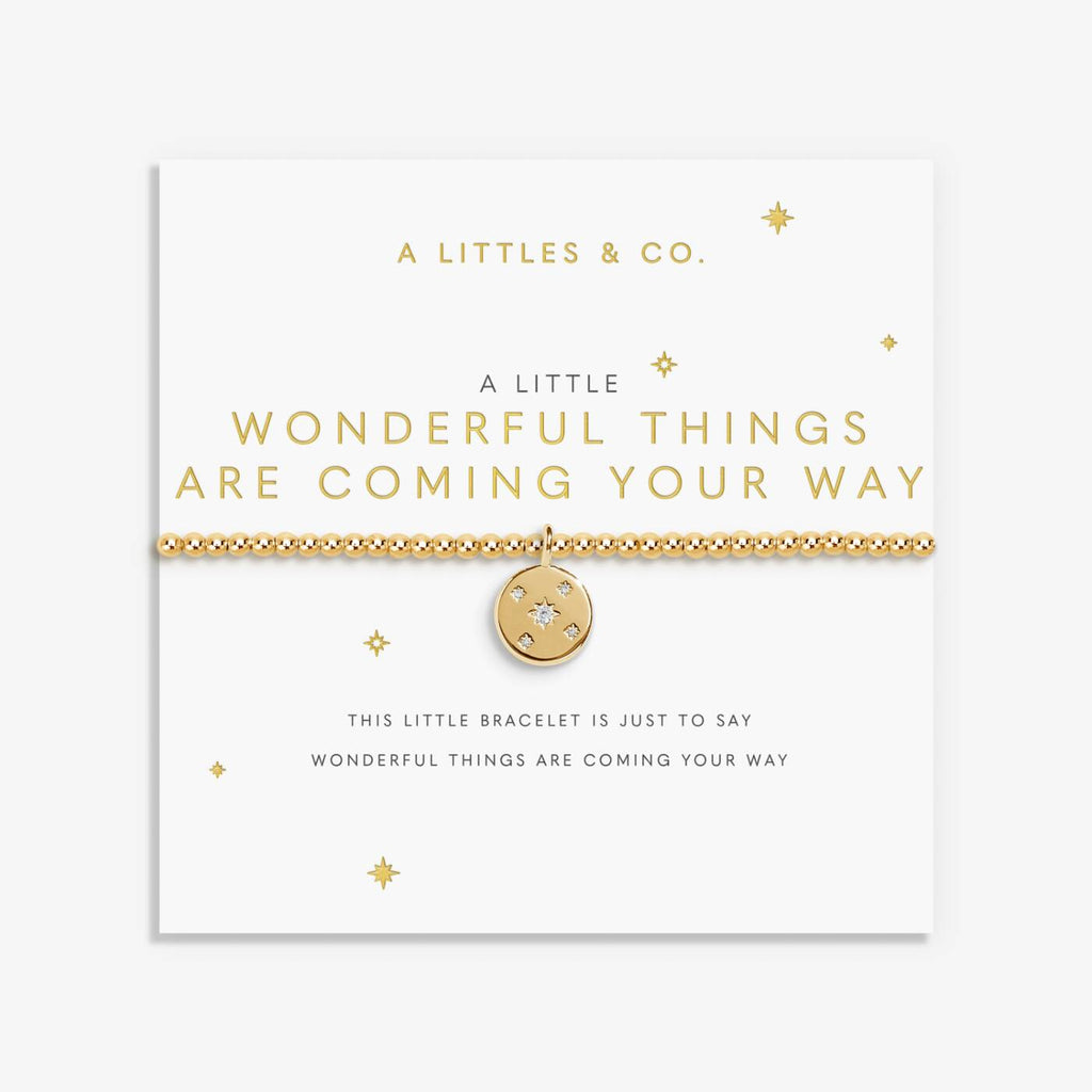 A Littles & Co Wonderful Things Are Coming your Way Stretch Bracelet